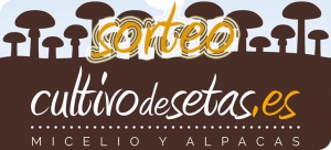 Sorteo de alpacas Shiitake