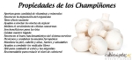 Propiedades de los champiñones