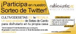 Sorteo Twitter Saco productor de Setas de cardo